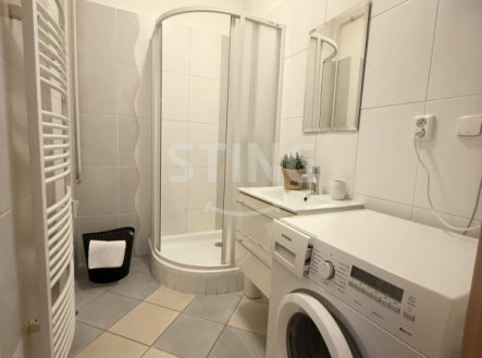Pronájem bytu, 1+1, 59 m²