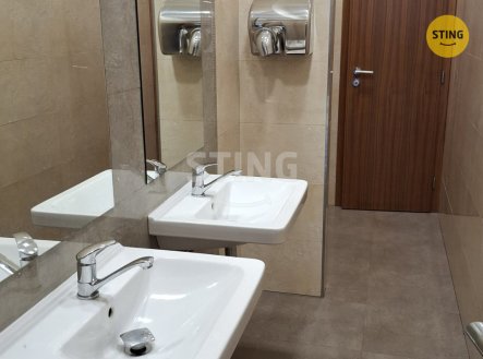 Pronájem kanceláře, 22 m²