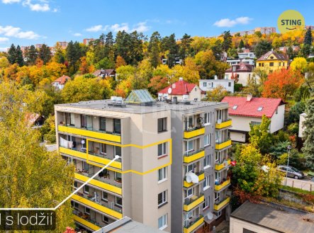 Prodej bytu, 1+1, 43 m²