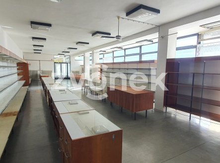 Pronájem obchodní prostory, 320 m²