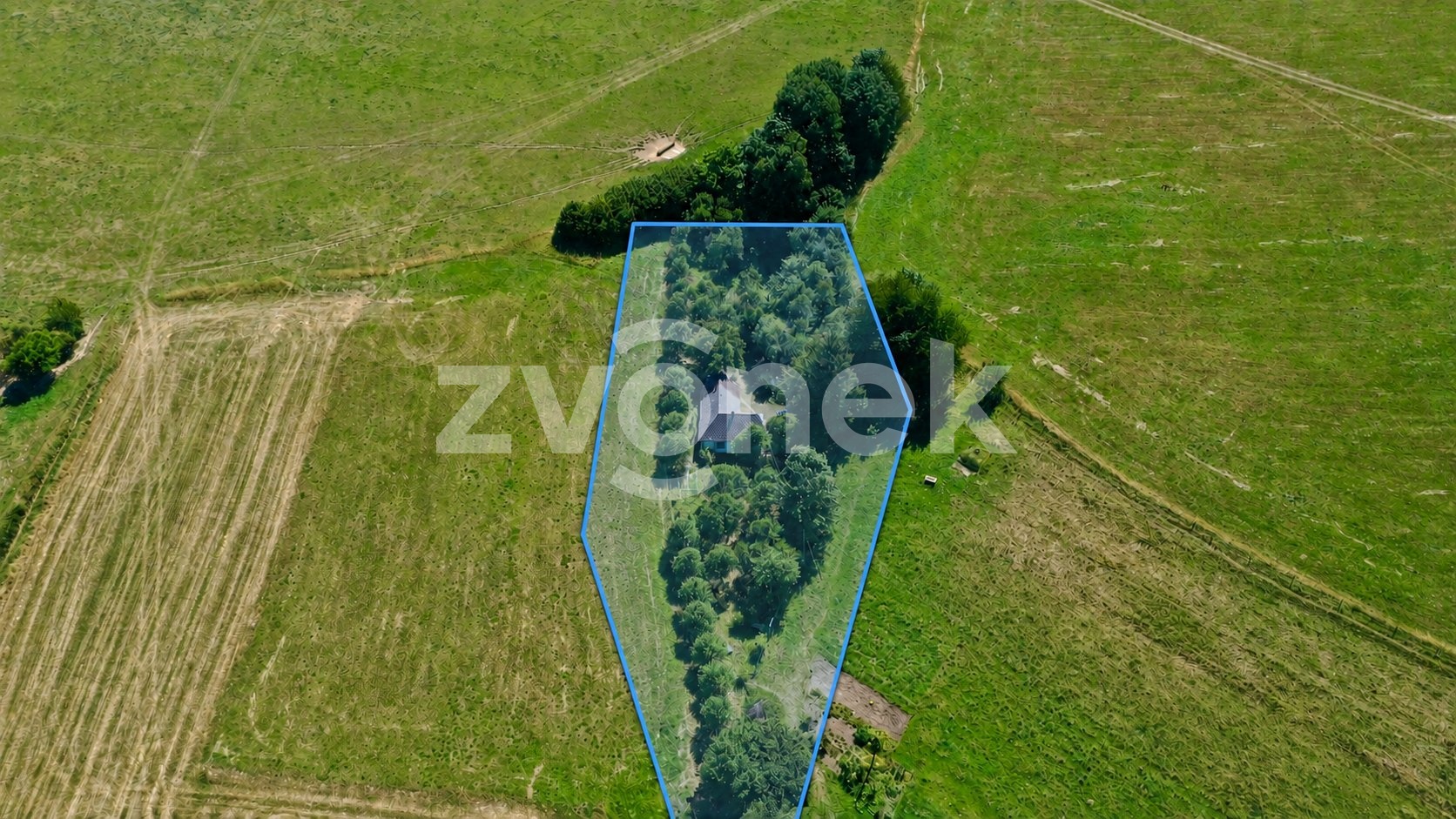 ChatGPT Image 18. 8. 2026 09_11_55