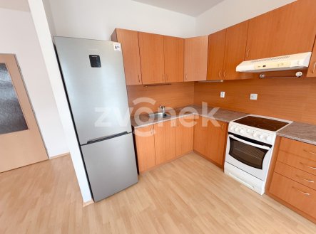 Pronájem bytu, 1+kk, 54 m²
