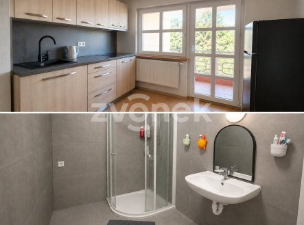 Pronájem bytu, 1+kk, 10 m²