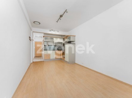 Pronájem bytu, 1+kk, 27 m²