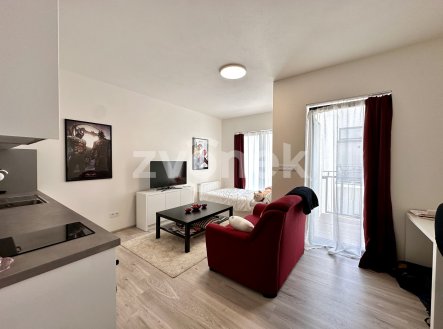 Pronájem bytu, 1+kk, 33 m²