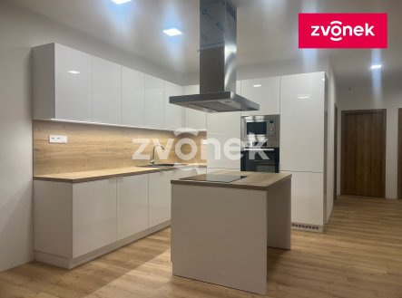 Pronájem bytu, 4+kk, 100 m²