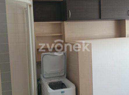 Pronájem bytu, atypický, 16 m²