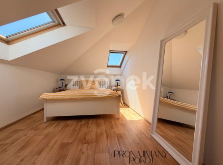 Pronájem bytu, 1+kk, 90 m² obrázek