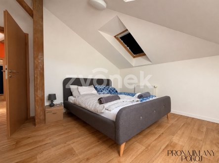 Pronájem bytu, 1+kk, 90 m²