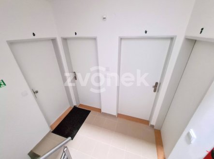 Pronájem bytu, 1+kk, 30 m²