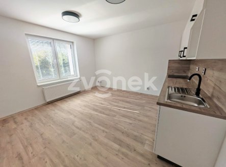 Pronájem bytu, 1+kk, 26 m²