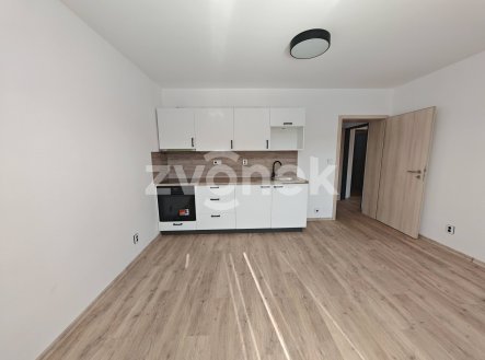 Pronájem bytu, 1+kk, 26 m²
