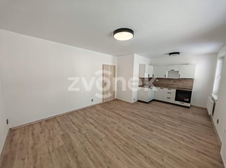 Pronájem bytu, 2+kk, 45 m²
