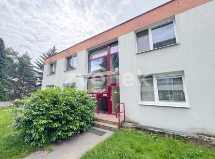Pronájem bytu, 2+1, 54 m²
