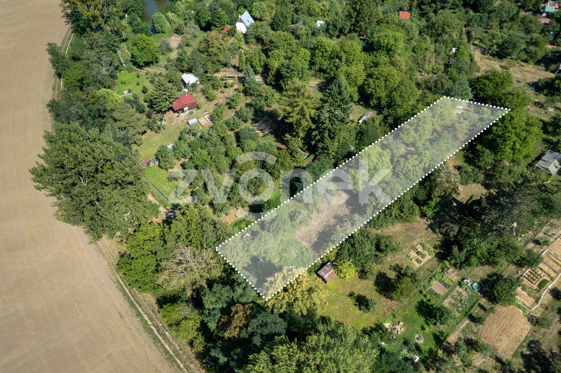 DJI_0836_