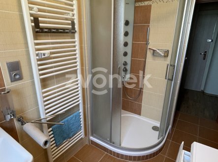 Pronájem bytu, 3+1, 75 m²