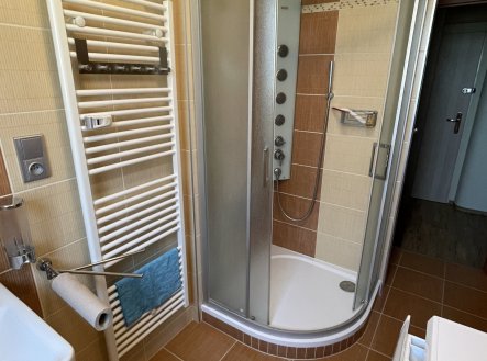 Pronájem bytu, 3+1, 75 m²