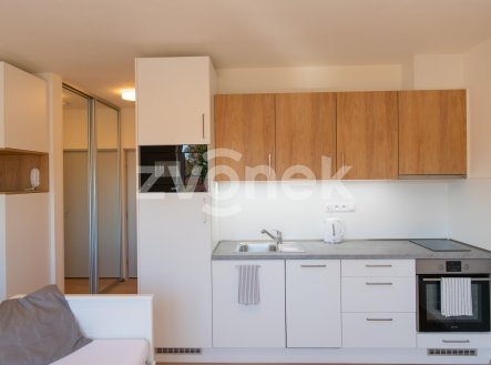 Prodej bytu, 1+kk, 31 m²