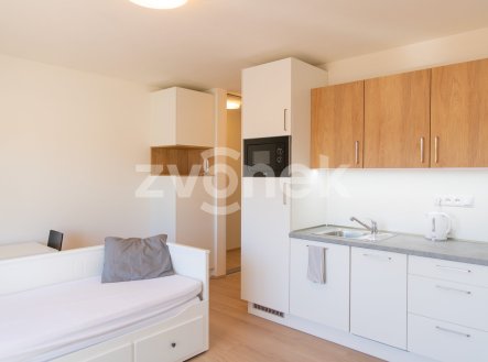 Prodej bytu, 1+kk, 31 m²