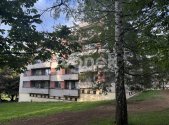 Pronájem bytu, 3+1, 90 m²
