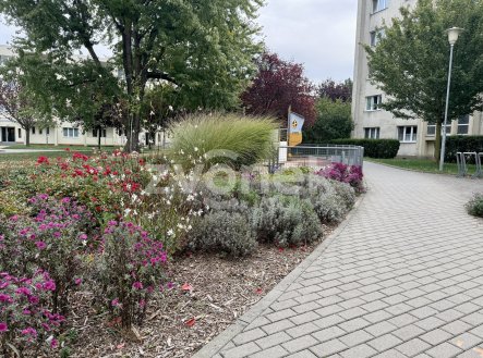 Prodej bytu, 2+1, 48 m²