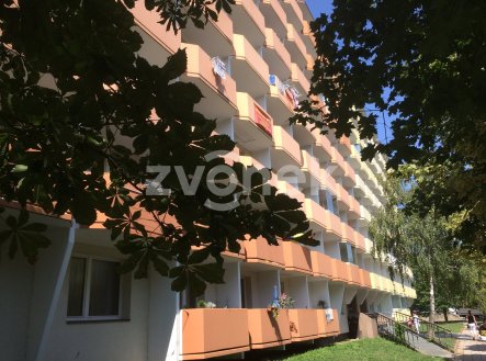 Pronájem bytu, 1+kk, 29 m²