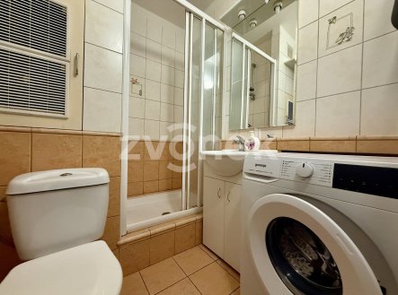 Pronájem bytu, 1+kk, 29 m²