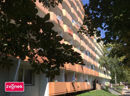 Pronájem bytu, 1+kk, 29 m²