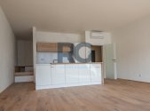 Pronájem bytu, 1+kk, 62 m²