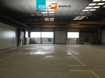 Pronájem komerčního objektu, sklad, 5 000 m²
