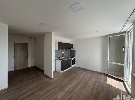 Pronájem bytu, 1+kk, 28 m²