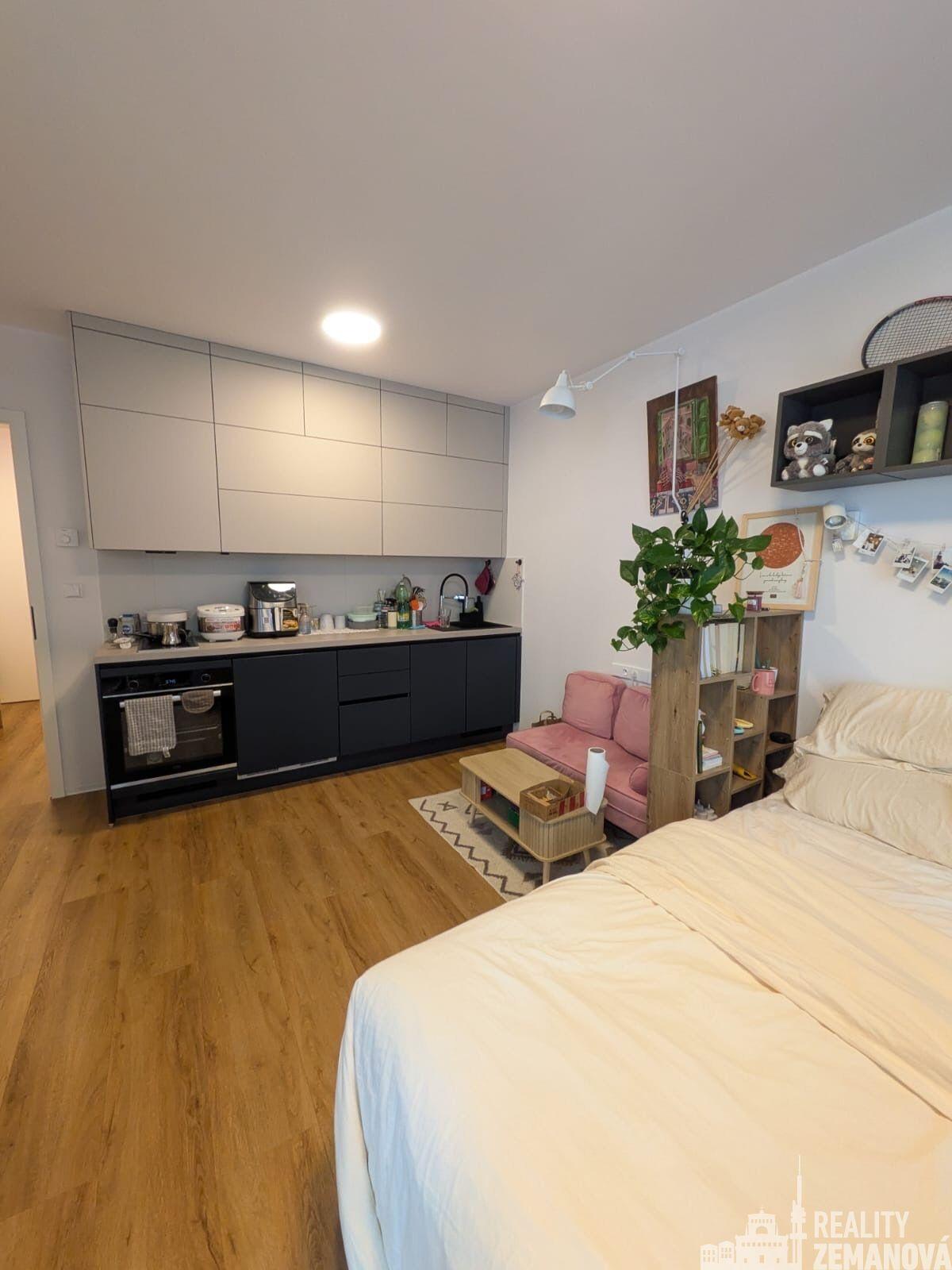 Nový zařízený byt 1+kk, 27,17 m2 + terasa 13,72 m2, Korunní, Praha 2