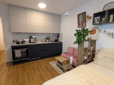 Pronájem bytu, 1+kk, 41 m²