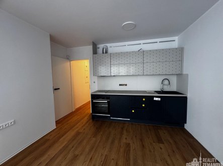 Pronájem bytu, 1+kk, 41 m²