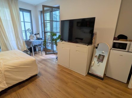 Pronájem bytu, 1+kk, 41 m²