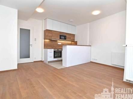 Pronájem bytu, 1+kk, 30 m²
