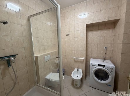Pronájem bytu, 1+kk, 41 m²