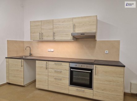 Pronájem bytu, 1+kk, 52 m²