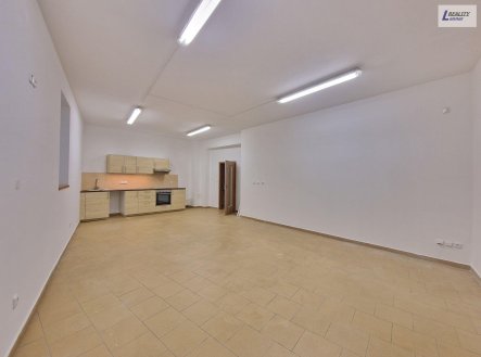 Pronájem bytu, 1+kk, 52 m²