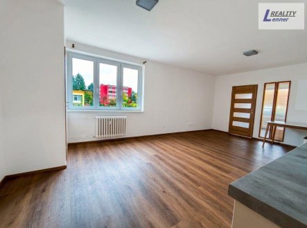 Pronájem bytu, 1+1, 46 m²