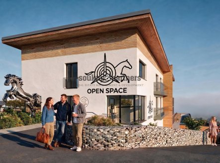 Prodej pozemku pro komerční výstavbu, 9 916 m²