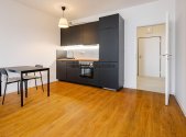 Pronájem bytu, 1+kk, 44 m²