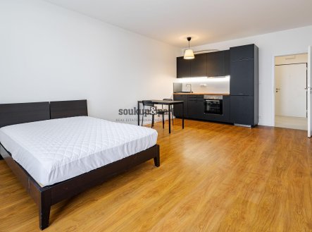 Pronájem bytu, 1+kk, 44 m²