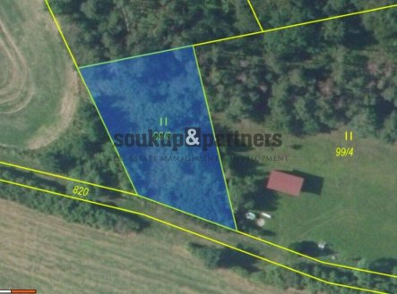 Prodej pozemku, trvalý travní porost, 669 m²