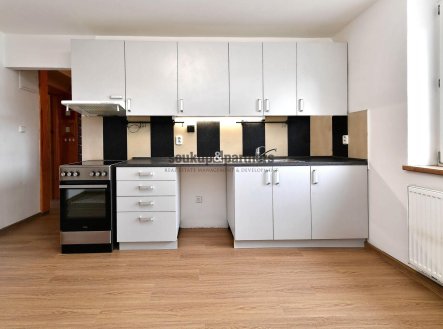 Pronájem bytu, 2+1, 54 m²
