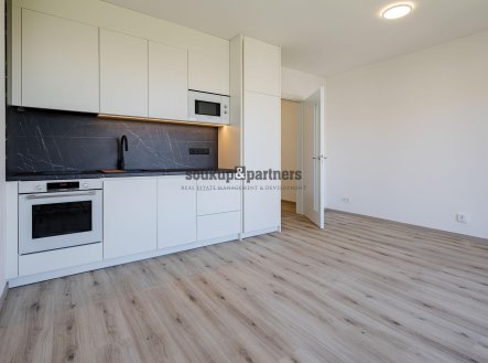 Prodej bytu, 1+kk, 30 m²