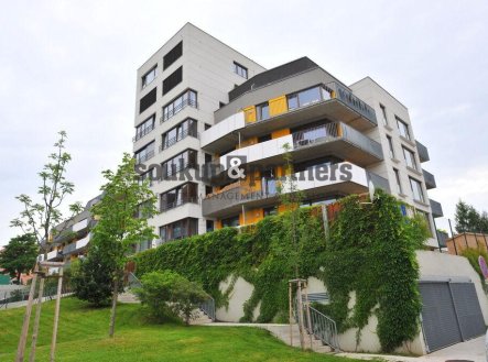 Pronájem bytu, 3+kk, 80 m²