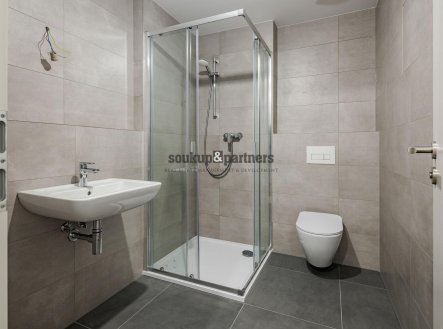 Prodej bytu, 1+kk, 30 m²