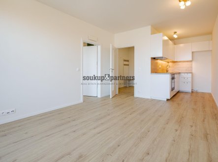 Pronájem bytu, 2+kk, 52 m²