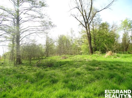 Prodej pozemku, ostatní, 711 m²